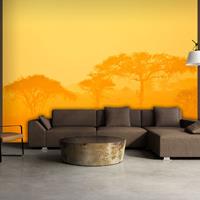 ARTGEIST Fototapete Orange savanna cm 250x193 
