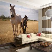 ARTGEIST Fototapete Pferd und Fohlen cm 250x193 