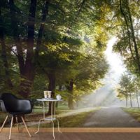 ARTGEIST XXL Tapete Morning Walk II cm 600x280 