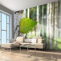 ARTGEIST Fototapete Birkenblatt cm 300x231 