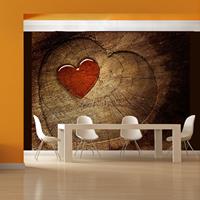 ARTGEIST Fototapete Eternal love cm 250x193 