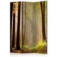 ARTGEIST 3teiliges Paravent Mysterious forest cm 135x172 