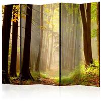 ARTGEIST 5teiliges Paravent Mysterious forest cm 225x172 