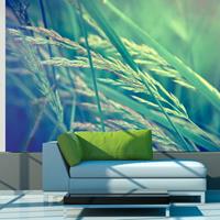 ARTGEIST Fototapete Cereal field cm 300x231 