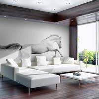 ARTGEIST Fototapete White gallop cm 300x231 