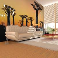 ARTGEIST Fototapete Afrikanische Affenbrotbäu cm 300x231 