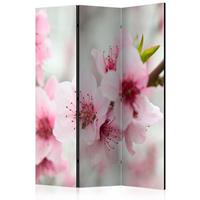 ARTGEIST 3teiliges Paravent Spring blooming cm 135x172 