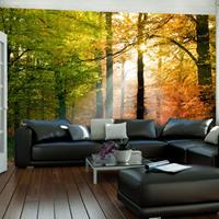 ARTGEIST Fototapete Wunderschöner Herbst cm 300x231 