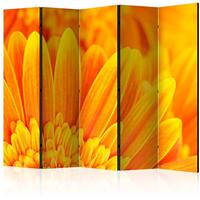 ARTGEIST 5teiliges Paravent Yellow gerbera da cm 225x172 