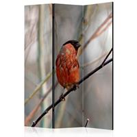 ARTGEIST 3teiliges Paravent Bullfinch in the cm 135x172 
