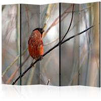 ARTGEIST 5teiliges Paravent Bullfinch in the cm 225x172 