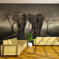 ARTGEIST Fototapete City of elephants cm 450x270 