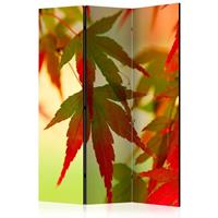 ARTGEIST 3teiliges Paravent Colourful leaves cm 135x172 