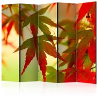 ARTGEIST 5teiliges Paravent Colourful leaves cm 225x172 