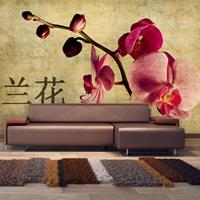 ARTGEIST Fototapete Japanese orchid cm 450x270 