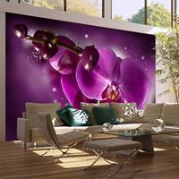 ARTGEIST Fototapete Märchen und Orchidee cm 450x270 