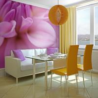 ARTGEIST Fototapete Blühende Blütenblätter cm 300x231 