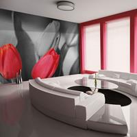 ARTGEIST Fototapete Rote Tulpen am schwarzwei cm 250x193 