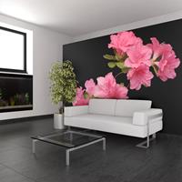 ARTGEIST Fototapete Azalea in Black cm 300x231 