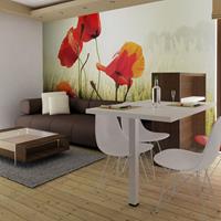 ARTGEIST Fototapete Schönheit der wilden Mohn cm 250x193 