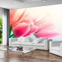 ARTGEIST Fototapete Frühling und Tulpen cm 250x193 