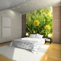 ARTGEIST Fototapete Gelbes Blumenfeld cm 250x193 