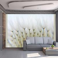 ARTGEIST Fototapete Ein Wald aus Pusteblumen cm 250x193 