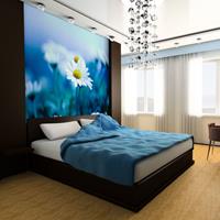 ARTGEIST Fototapete Gänseblümchen auf blauer cm 250x193 