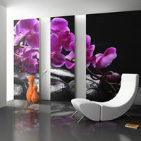 ARTGEIST Fototapete Pure Harmonie Orchidee un cm 250x193 