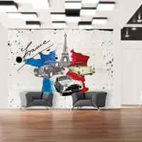 ARTGEIST Fototapete Admirer of cars France cm 300x231 