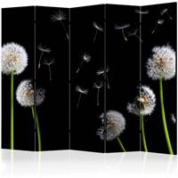ARTGEIST 5teiliges Paravent Dandelions in the cm 225x172 