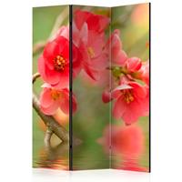 ARTGEIST 3teiliges Paravent Azalea reflected cm 135x172 