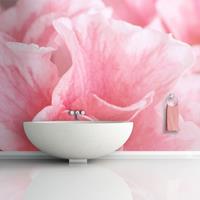 ARTGEIST Fototapete Pinke Blüte der Azalee cm 250x193 