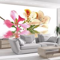 ARTGEIST Fototapete Tropische Blumen bauhinia cm 250x193 