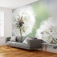ARTGEIST Fototapete Zwei große Pusteblumen cm 300x231 