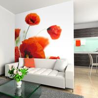 ARTGEIST Fototapete Poppies on the wihite back cm 250x193 