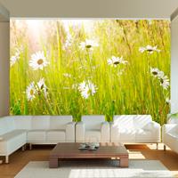 ARTGEIST Fototapete Frühlingsweide mit Gänse cm 300x231 