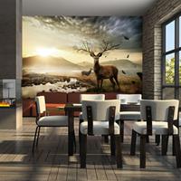 ARTGEIST Fototapete Hirsche am Bergbach cm 350x270 