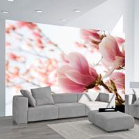 ARTGEIST Fototapete Rosafarbene Magnolie cm 300x231 
