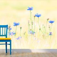ARTGEIST Fototapete Kornblumen cm 250x193 