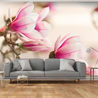 ARTGEIST Fototapete Branch of magnolia tree cm 300x231 