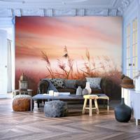 ARTGEIST Fototapete Erwachung einer Wiese cm 250x193 