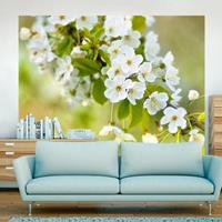 ARTGEIST Fototapete Zweig mit weißen Kirschbl cm 300x231 