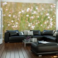 ARTGEIST Fototapete Delikate weiße Blümchen cm 300x231 