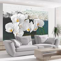 ARTGEIST Fototapete Orchidee Inspiration de cm 250x193 