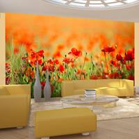 ARTGEIST Fototapete Mohnblumen an einem heiße cm 450x270 