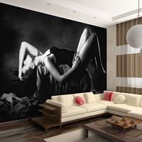 ARTGEIST Fototapete Frau im sexy Dessous cm 250x193 