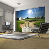 ARTGEIST Fototapete Golfplatz cm 250x193 