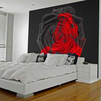 ARTGEIST Fototapete Verwandlung cm 300x231 
