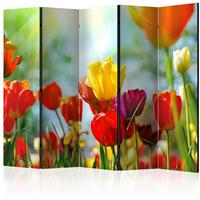 ARTGEIST 5teiliges Paravent Spring Tulips II cm 225x172 